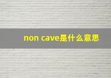 non cave是什么意思